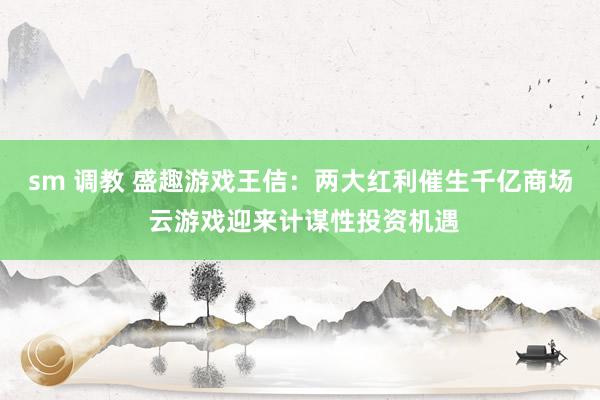 sm 调教 盛趣游戏王佶：两大红利催生千亿商场 云游戏迎来计谋性投资机遇